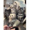image:imageGraphic Cardigans for Women Knitted Button Oversize Cat Graphic Sweater Warm Cartoon Casual Trendy CardigansBeige